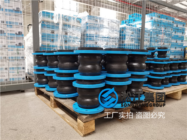 青島XTQ2RF型DN65雙球橡膠接頭