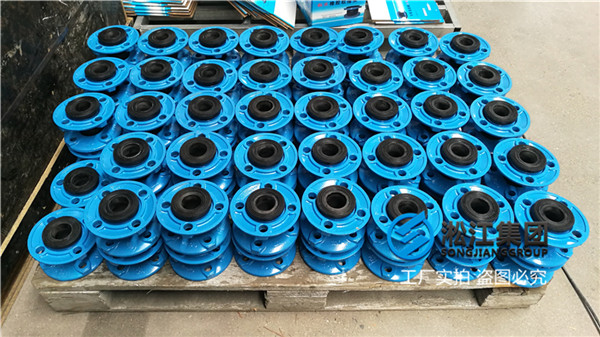 上海雙螺桿擠出機(jī)用DN50NBR橡膠接頭