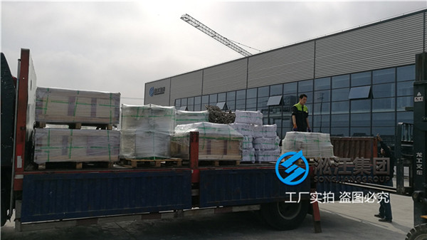 韶關(guān)稀硫酸介質(zhì)DN250雙球體橡膠接頭